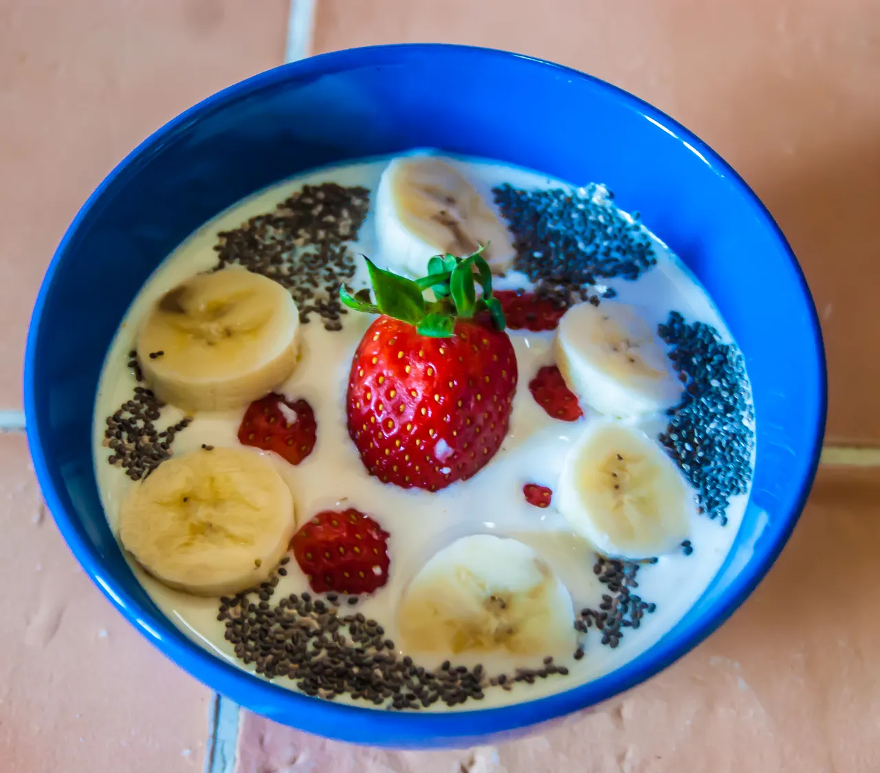 Chia (7 von 5).jpg