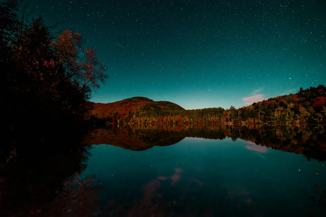 Sean_Gold_211013__DSC8227_.jpg