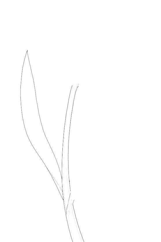 Screenshot_20260521-131712.jpg