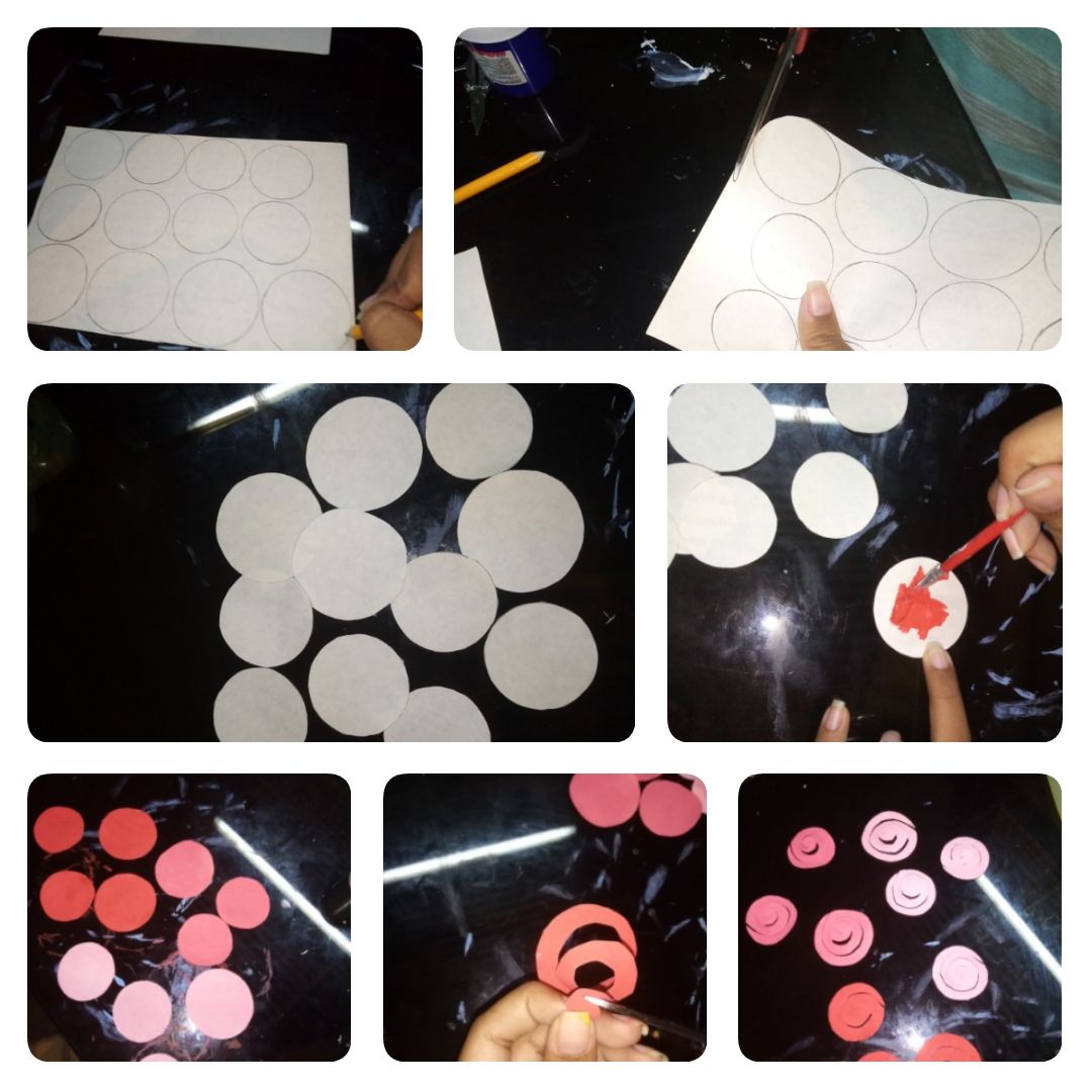 PhotoCollage_1649469919792.jpg