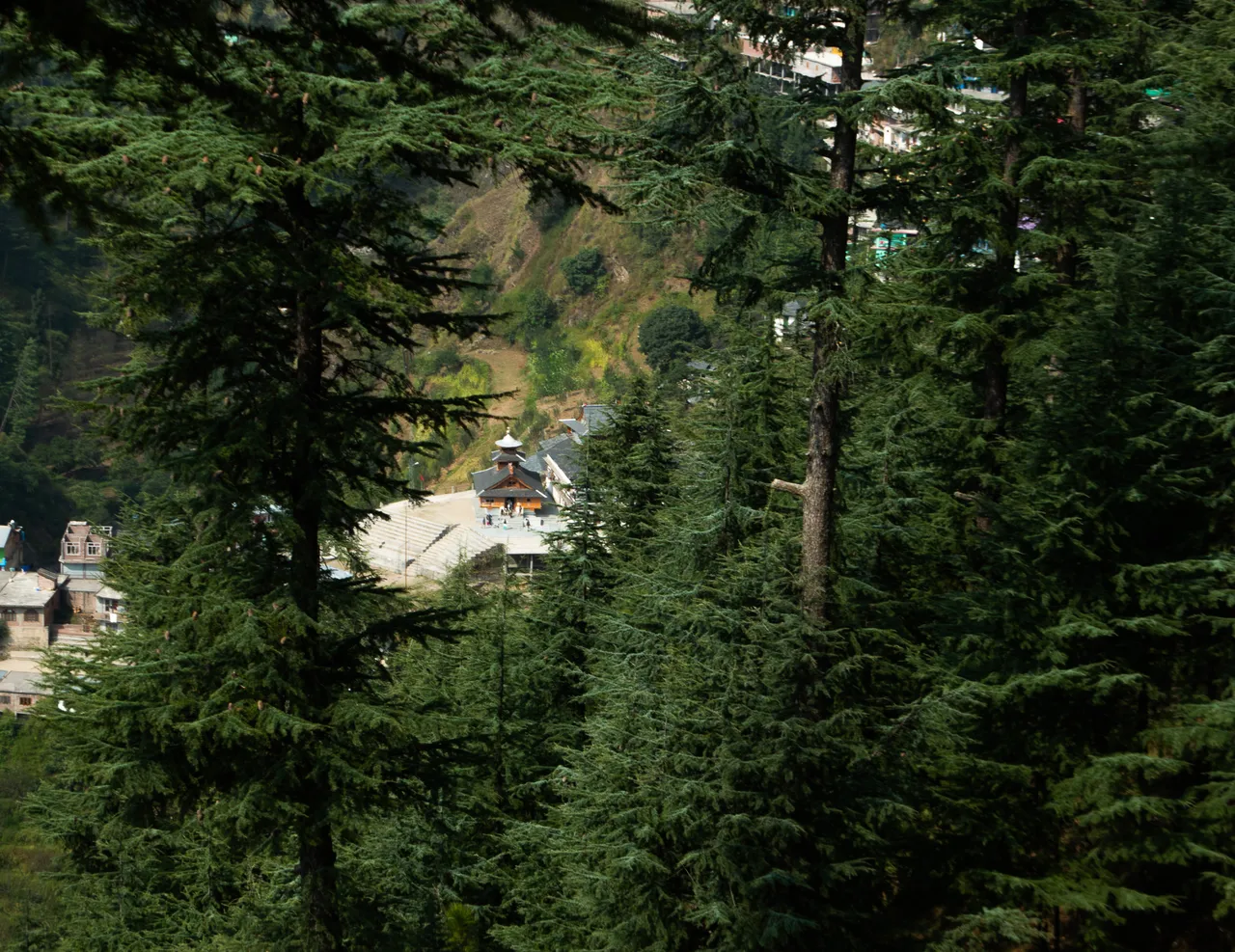 "Hive_Tarun_Goel_Photos (6).jpg"