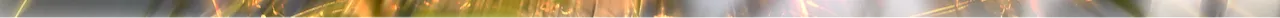 g2.png