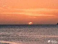 clloqboly00lc8msze1dx8l07_37502.webp