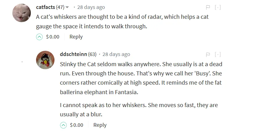 1.0 DONE Capture SwaggerCaturday.PNG
