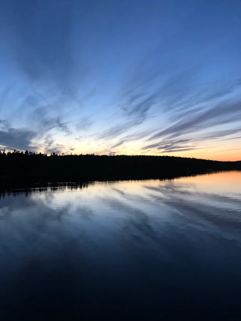 57C00D2E-1F17-4467-B69D-8B0D3C76FD0E.jpeg
