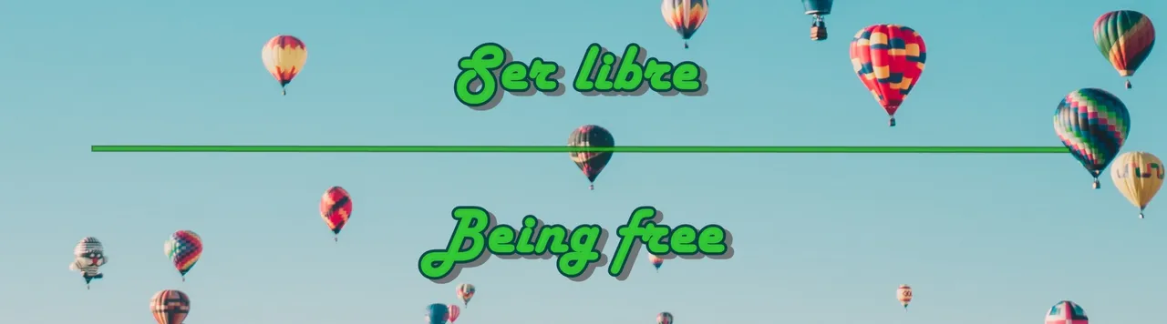 banner.jpg