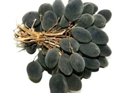 tamarind.jpg