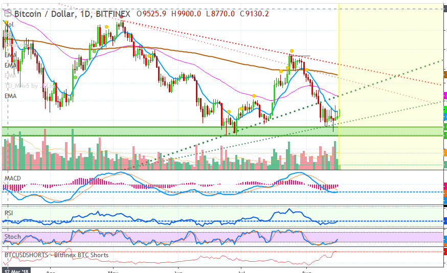 bitcoin usd chart.png