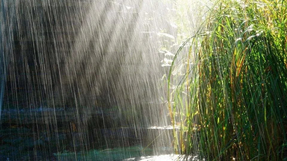 sunny-rain-hd-wallpaper.jpg