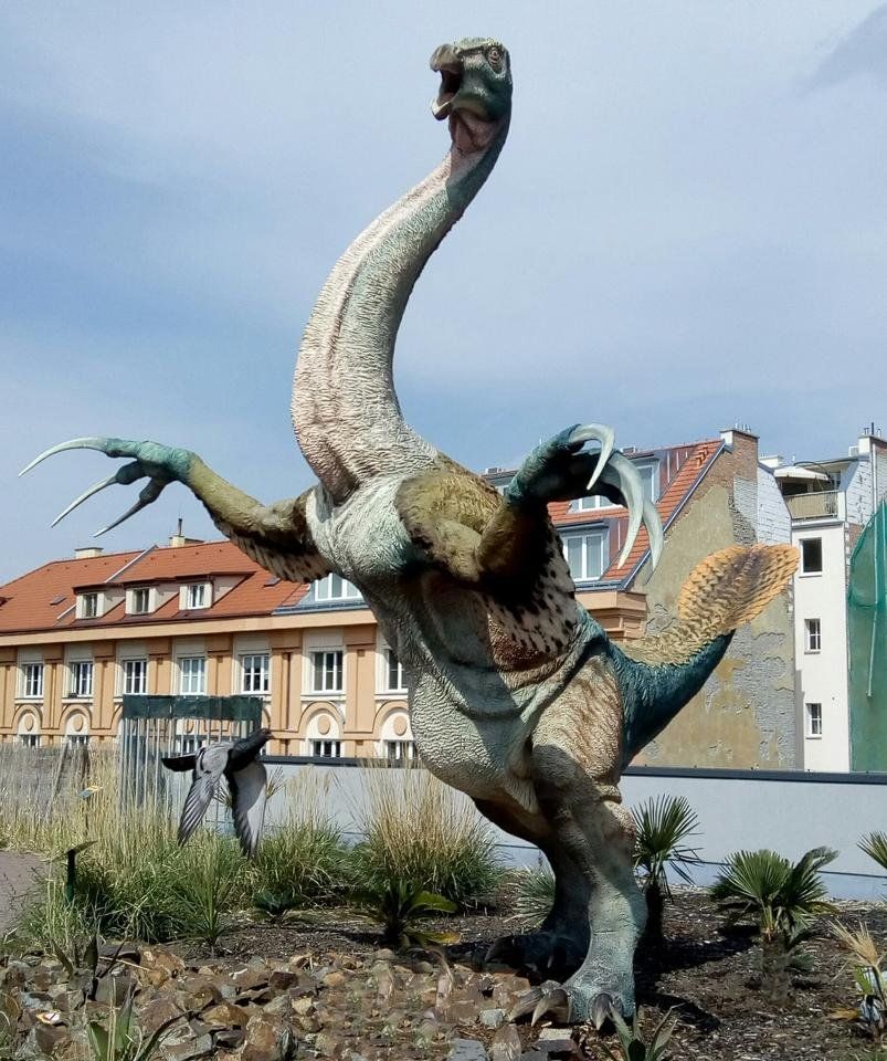 Ptáci.jpg