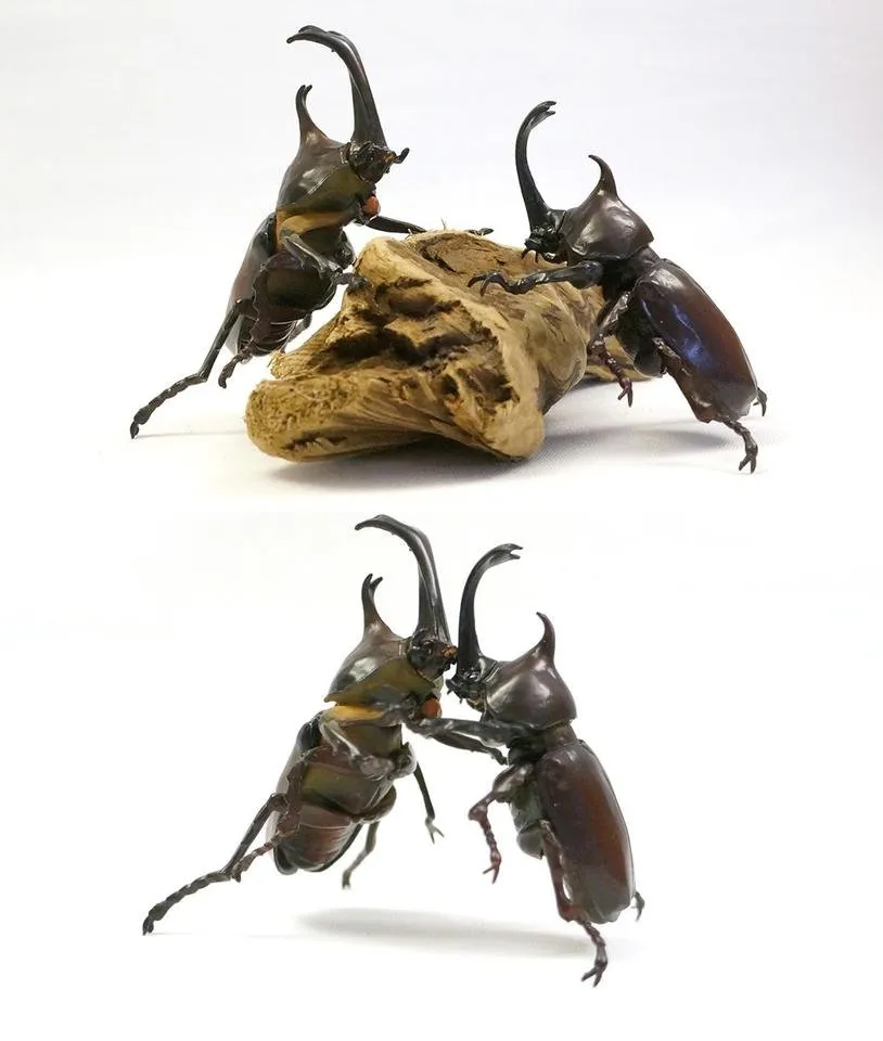 DSC06811_01.jpg