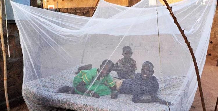 mosquito-net-project-paoc-X.jpg