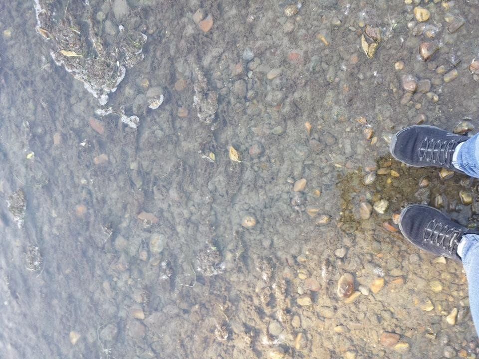 IMG_0160.jpeg