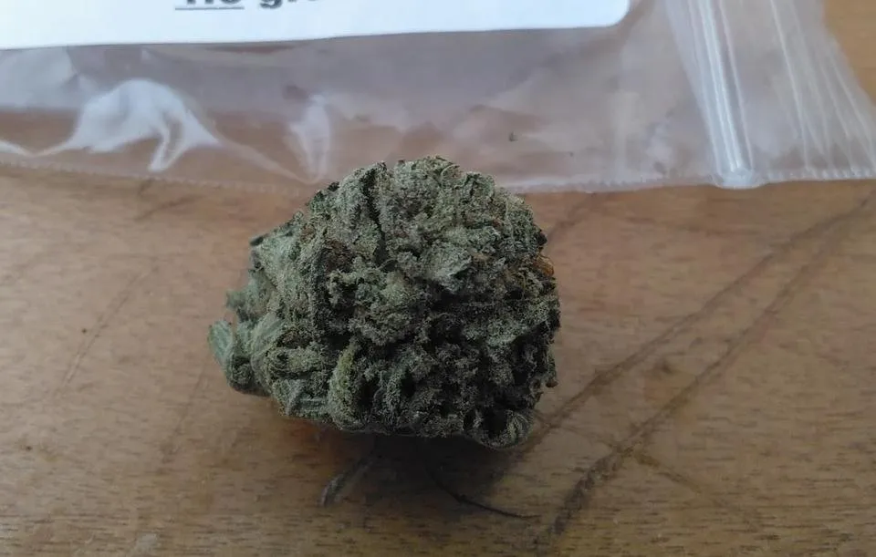 alien og.jpg