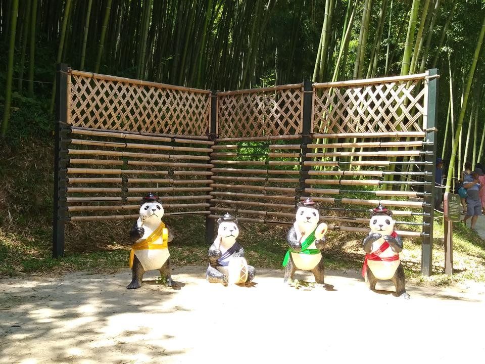 20180802_125302_HDR.jpg