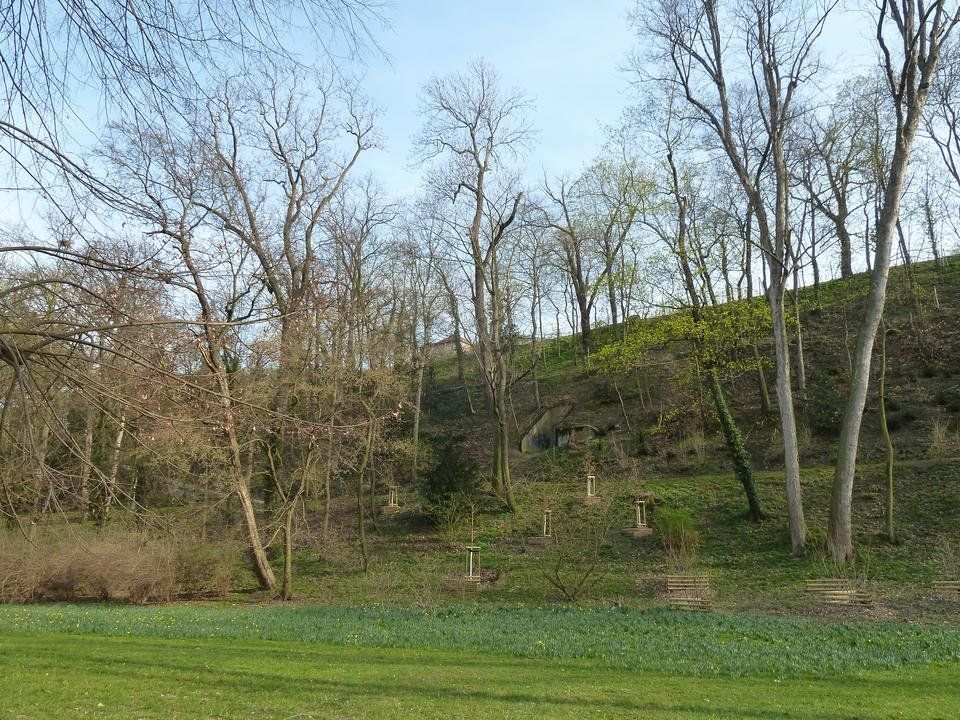P1100326.JPG