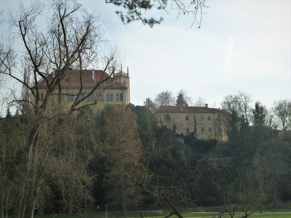 P1100328.JPG