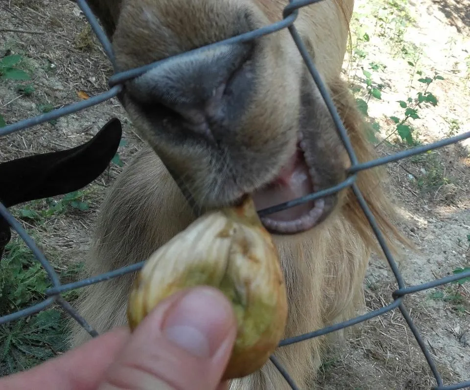 20160825_121230-1.jpg