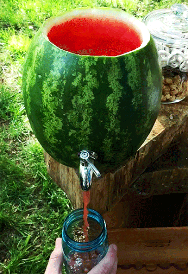 1471501155868.gif