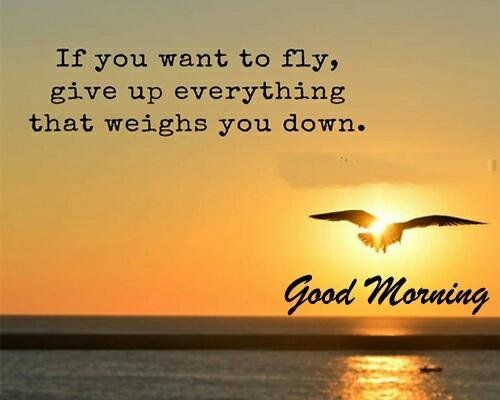good-morning-inspiration_27a6c979.jpg