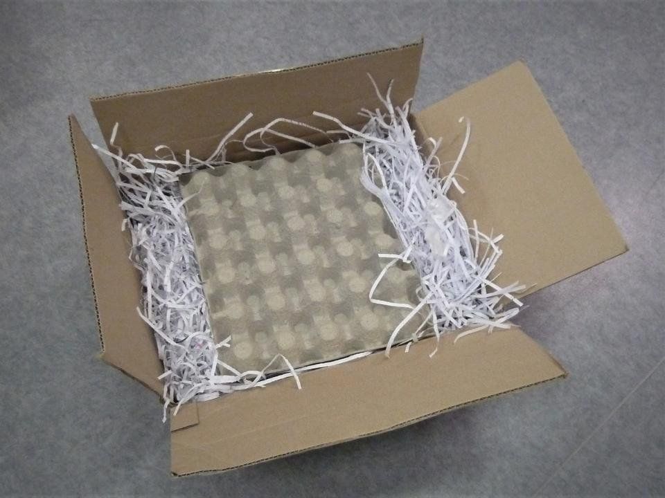 P1090947.JPG