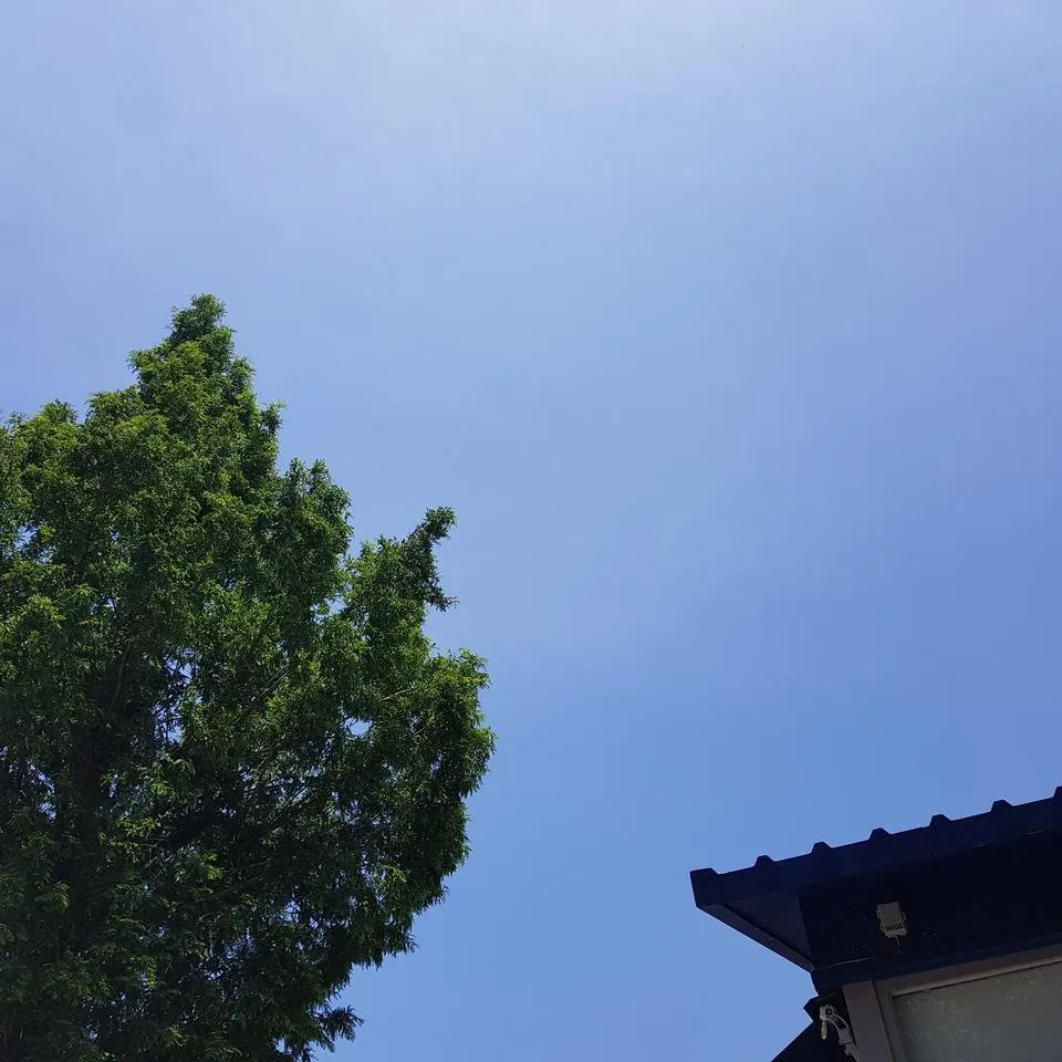 20180616_122923.jpg