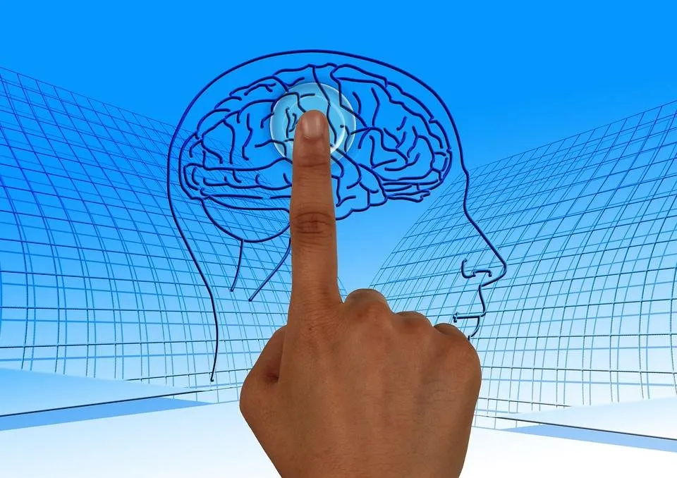 brain-770044_1280.jpg