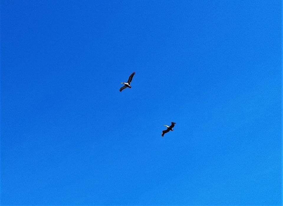 IMG_20181118_161022.jpg