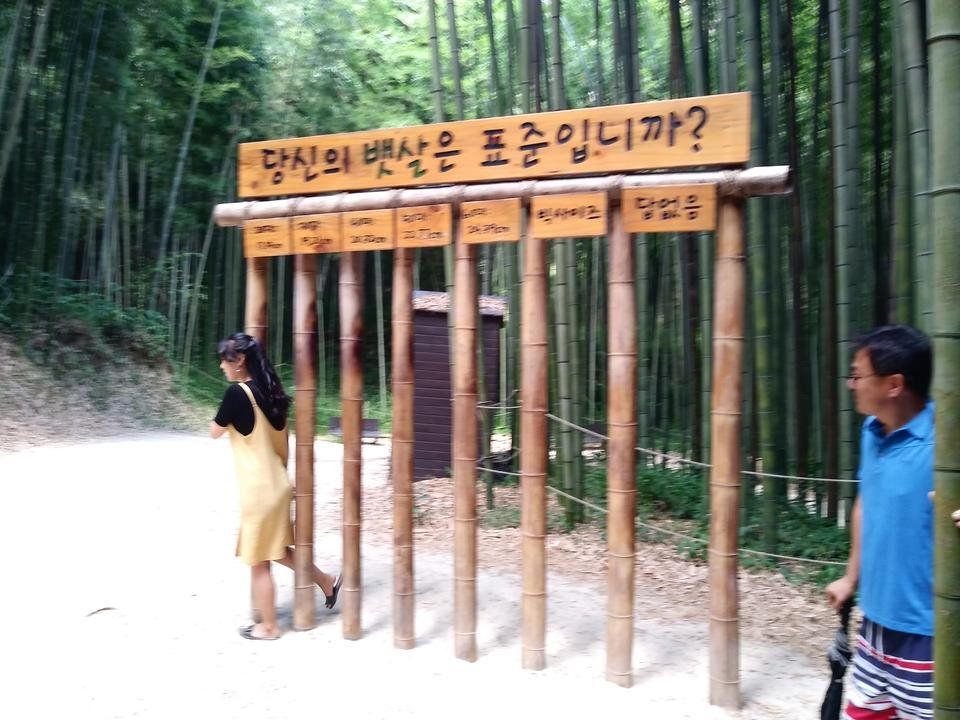 20180802_115444.jpg