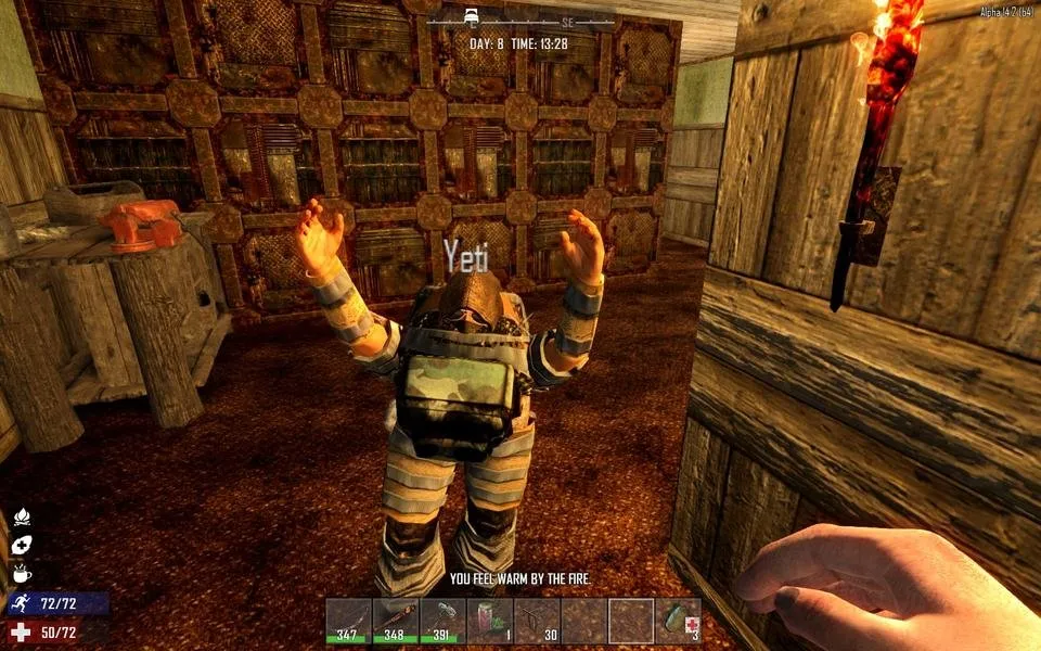 bug.jpg