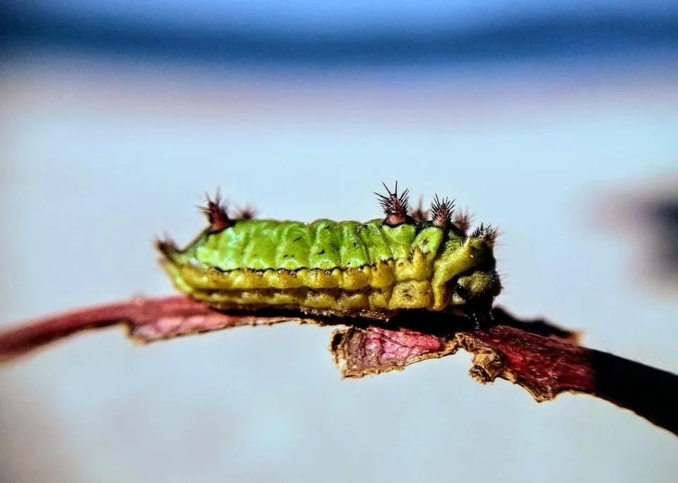 20180811_135727.jpg