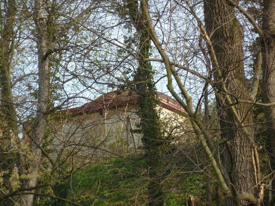 P1100327.JPG
