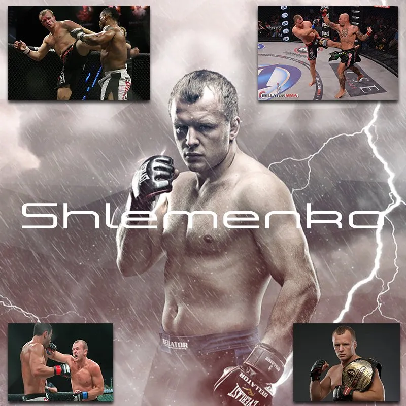 Shlemenko2d671.jpg