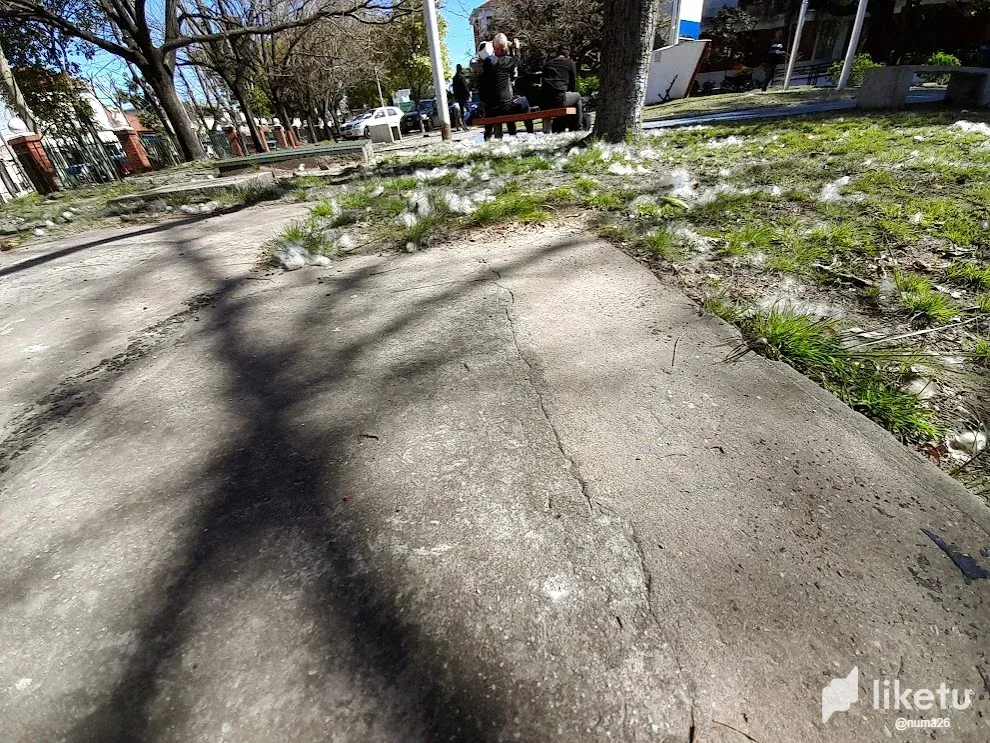 clmlhyrsi02pf7kszgro96v20_algodon_seis.webp