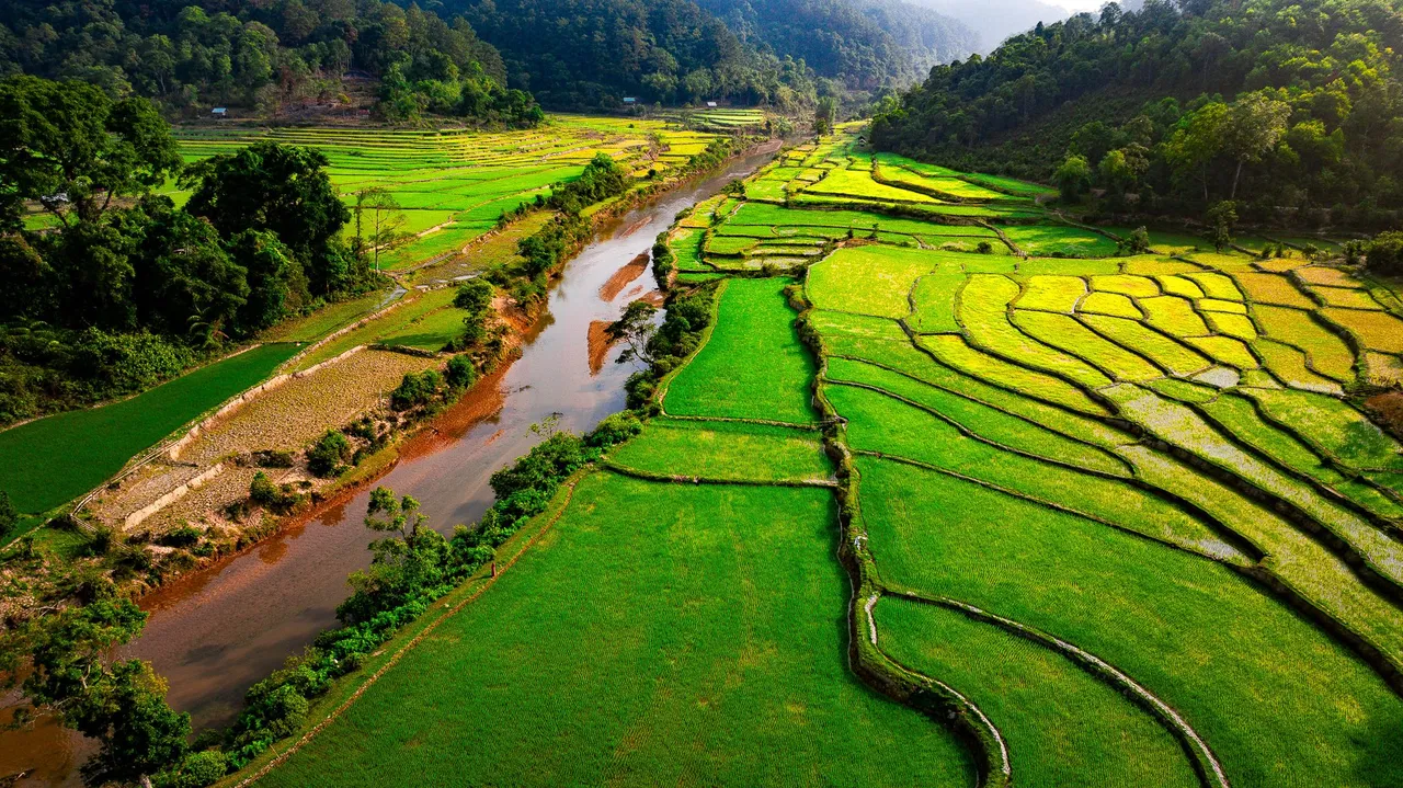 DJI_20240415045250_0724_D.jpg