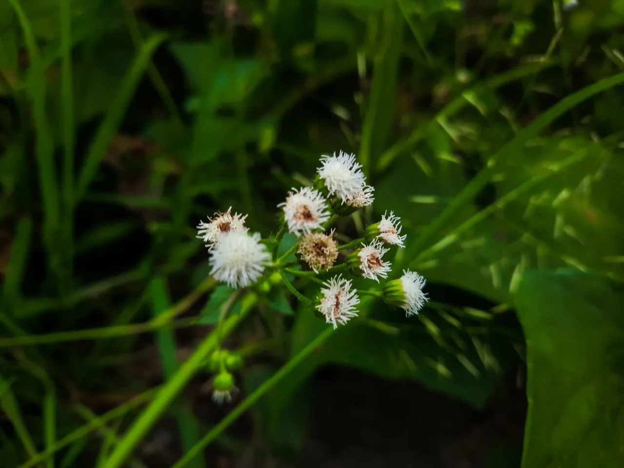 20230516_181152.jpg