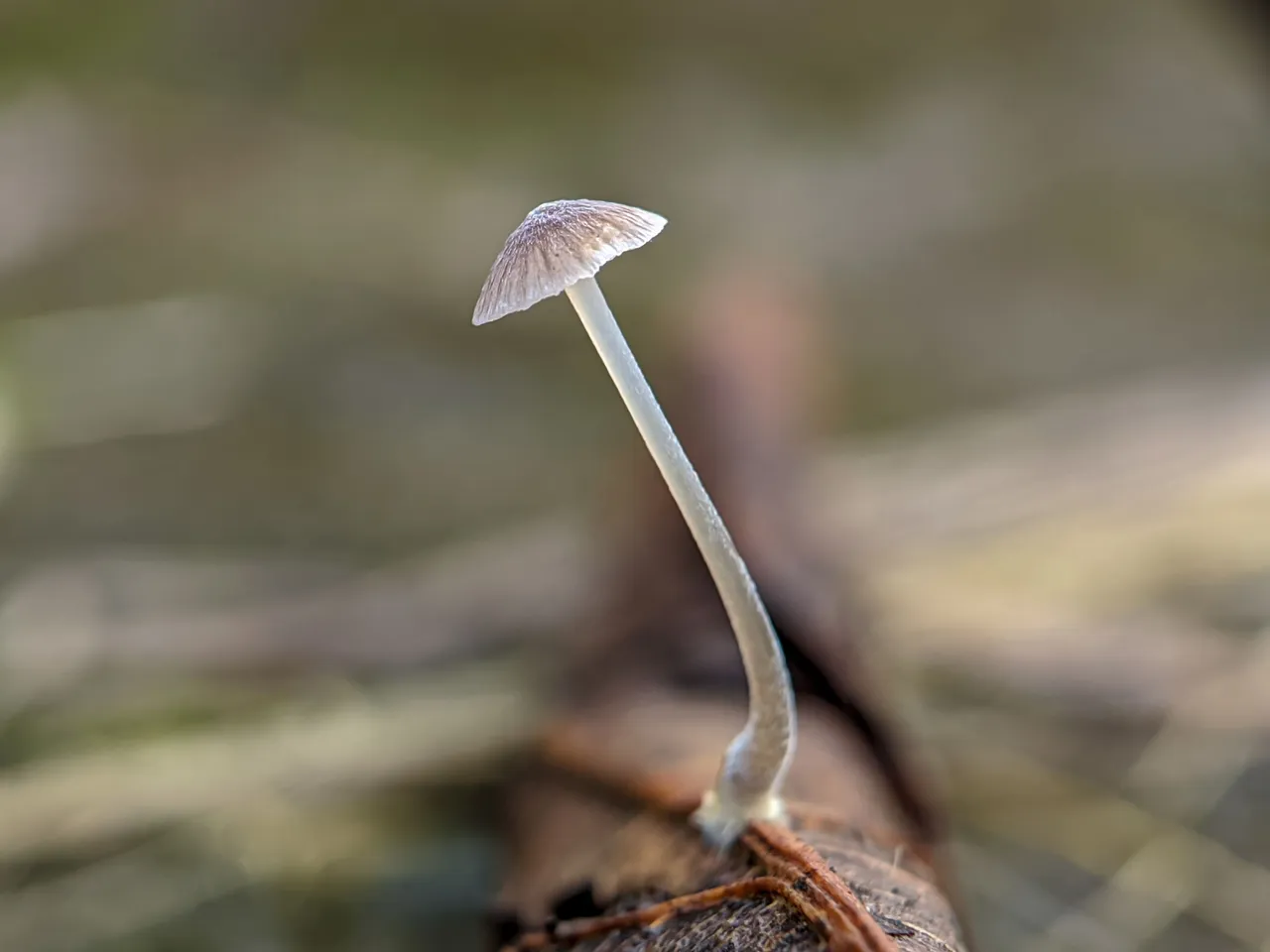 1701868850183.jpg