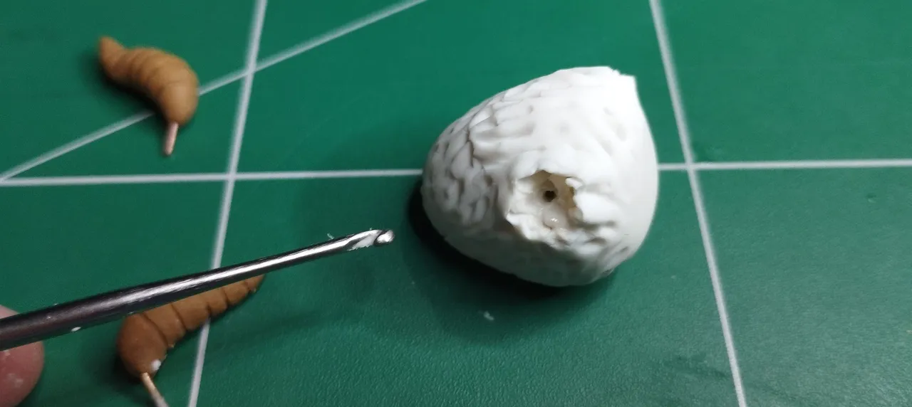 5b.jpg
