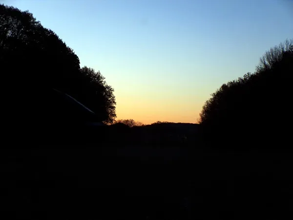 Sunrise crop May 2023.jpg