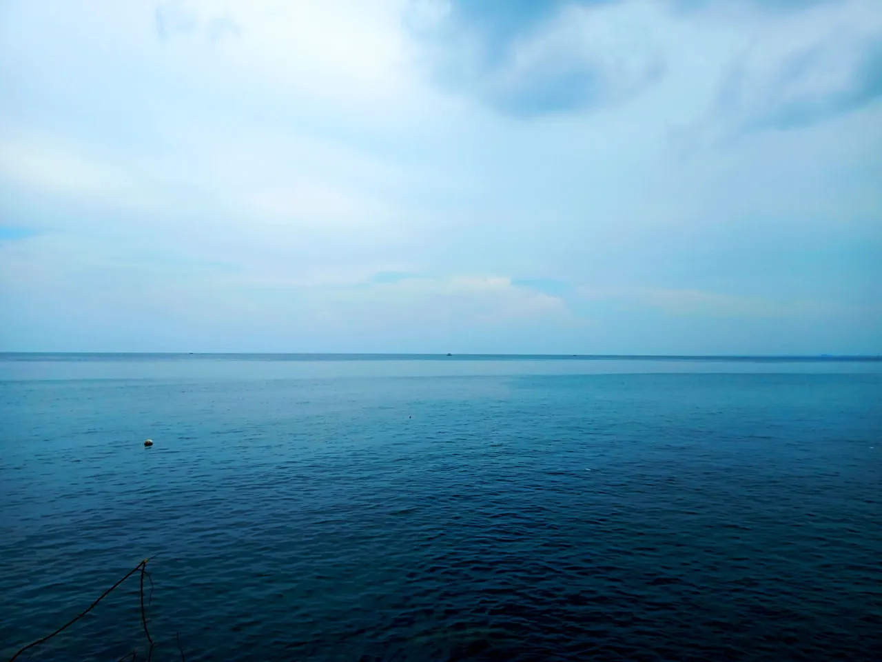IMG_20230408_112408.jpg