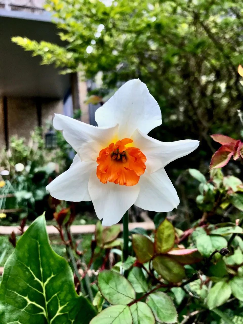 IMG_8777.jpeg