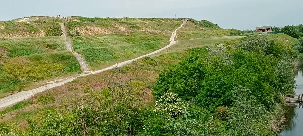 trail 6.jpg