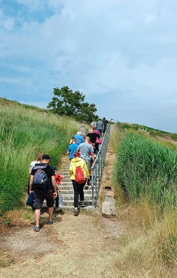 trail 2.jpg