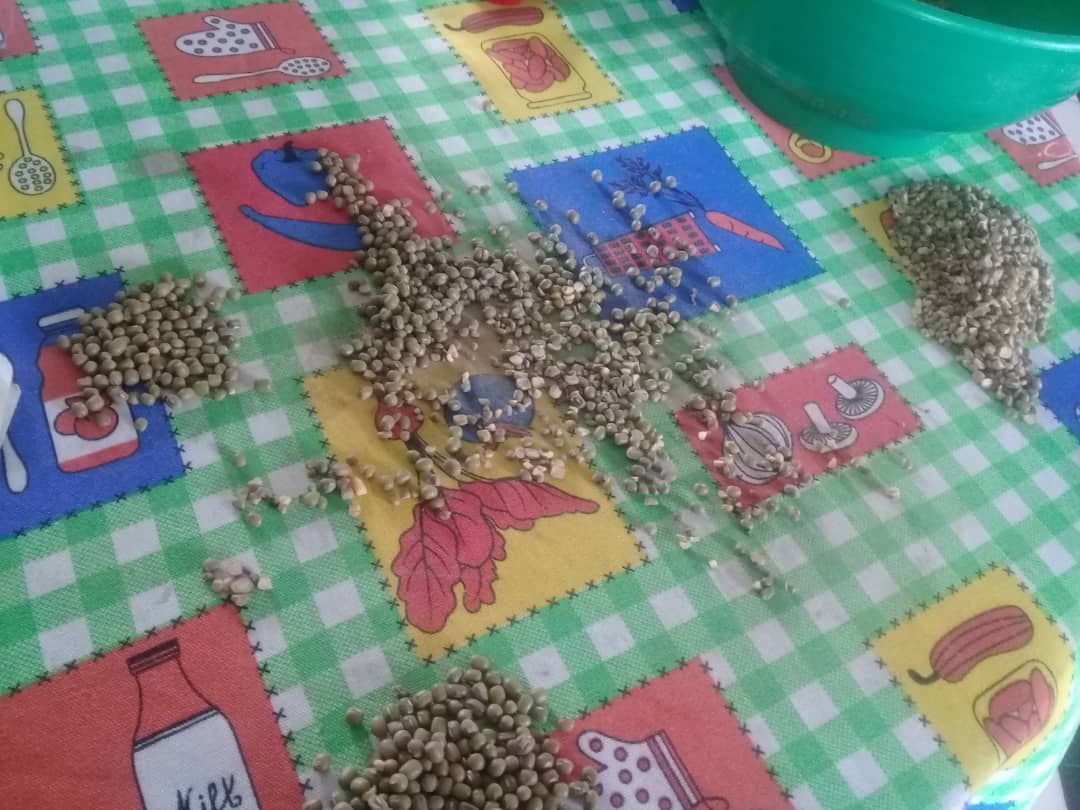 1grano.jpeg