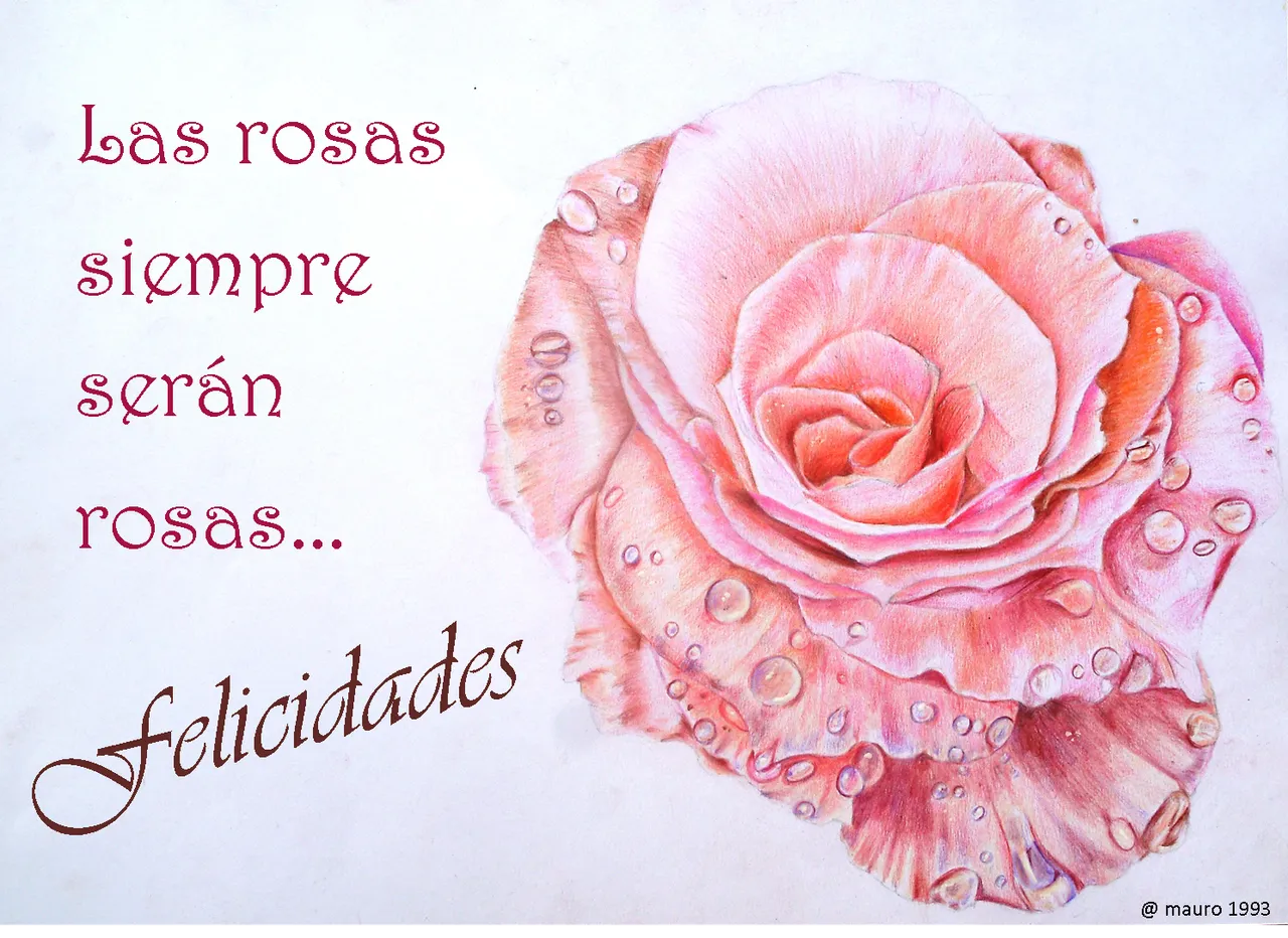 Imagen6.png