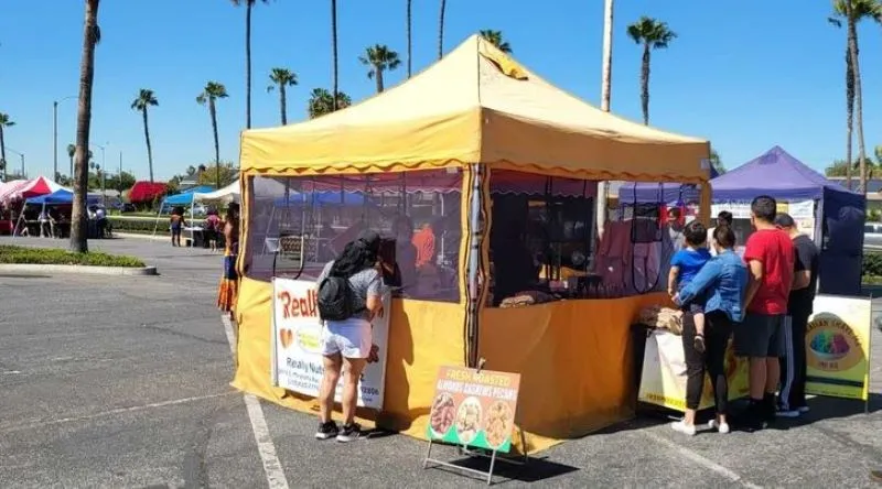 market4.jpg
