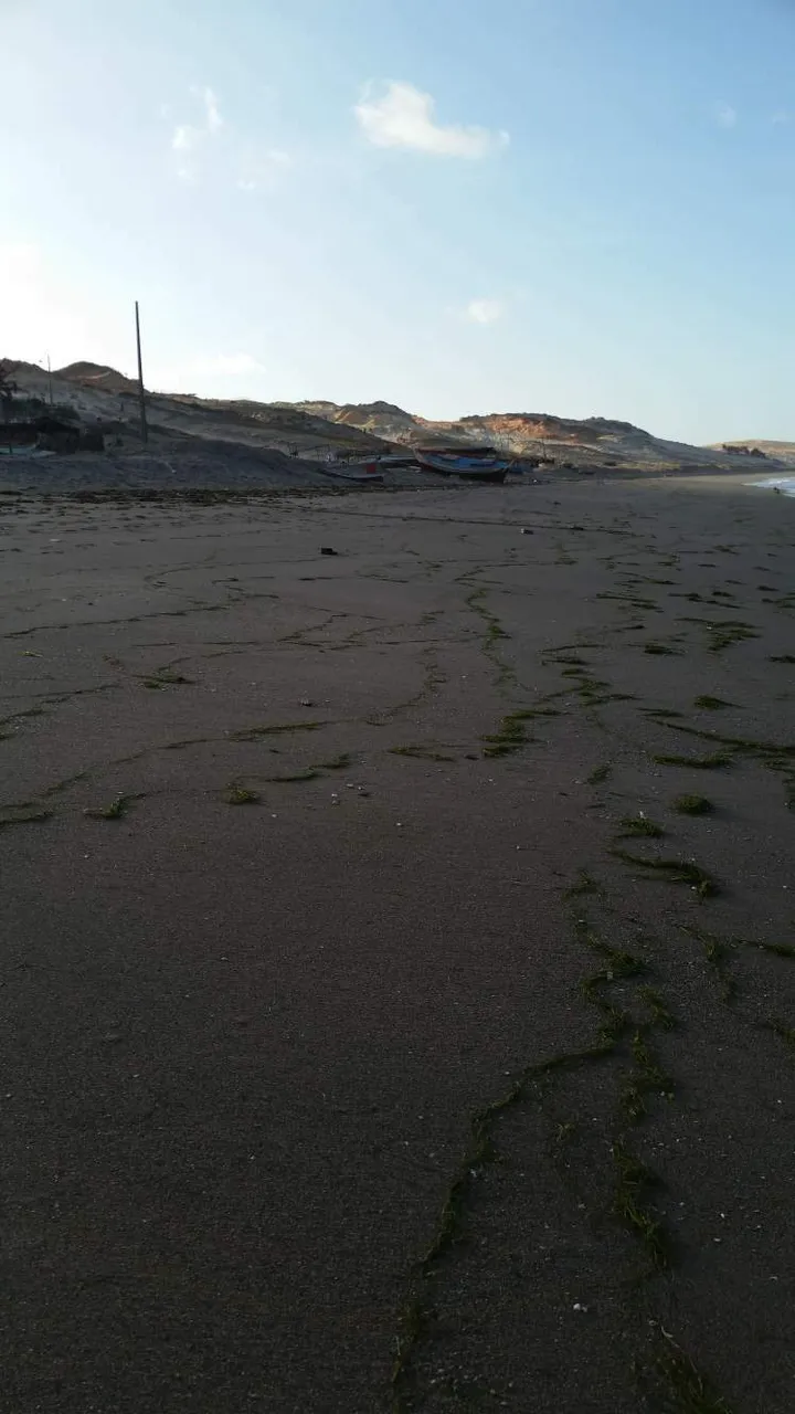 https://s3.us-east-2.amazonaws.com/partiko.io/img/pedrohmc23-beach-1533924464661.png
