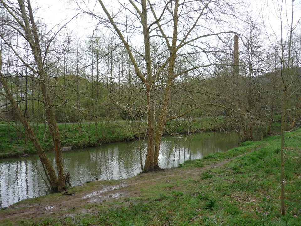 nora06.jpg