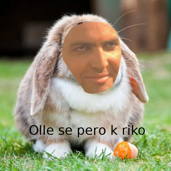 conejo.png