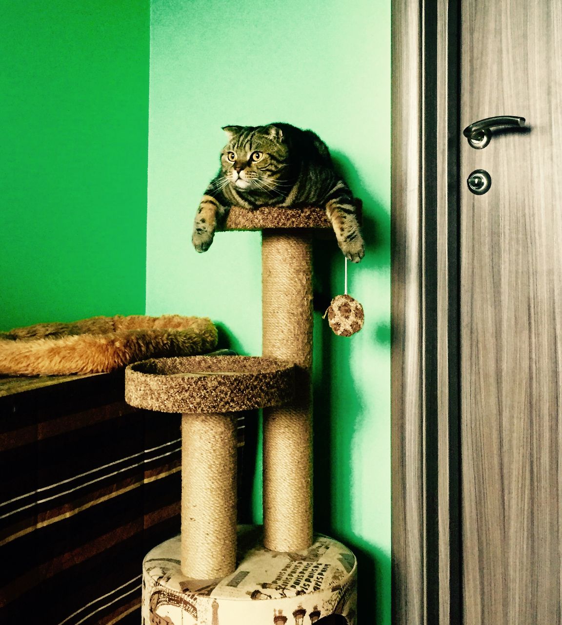image.jpeg